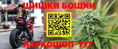 прущие грибы Пушкино