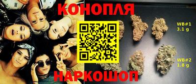 прущие грибы Пушкино