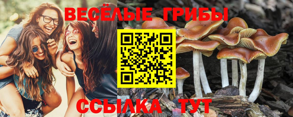 Псилоцибиновые грибы Magic Shrooms  Вход с VPN  Галлюциногенные грибы мухоморы  Ржев 