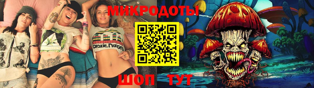 Галлюциногенные грибы Psilocybe Ржев